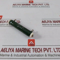 Iwaki Rwh40G Tube Resistor 10?J