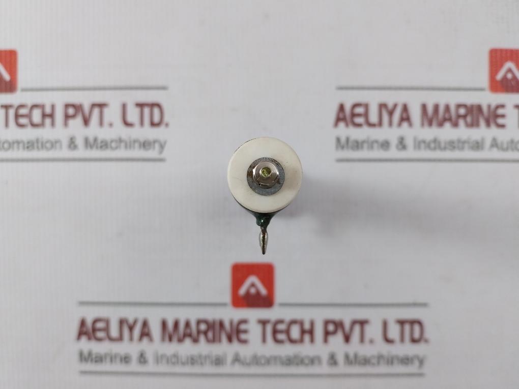 Iwaki Rwh40G Tube Resistor 10?J
