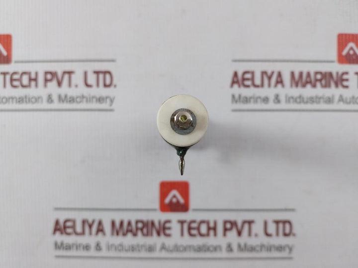 Iwaki Rwh40G Tube Resistor 10?J