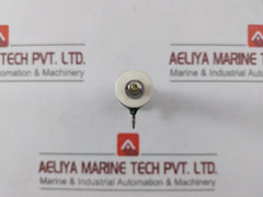 Iwaki Rwh40G Tube Resistor 10?J
