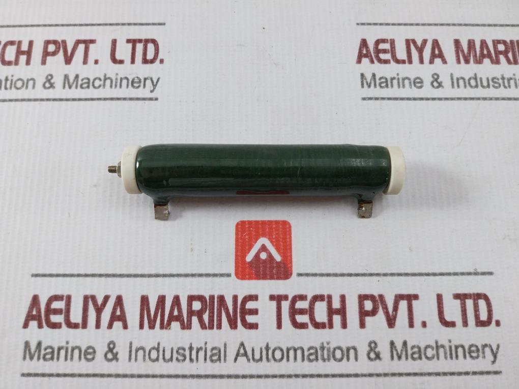 Iwaki Rwh40G Tube Resistor 2Ohmj