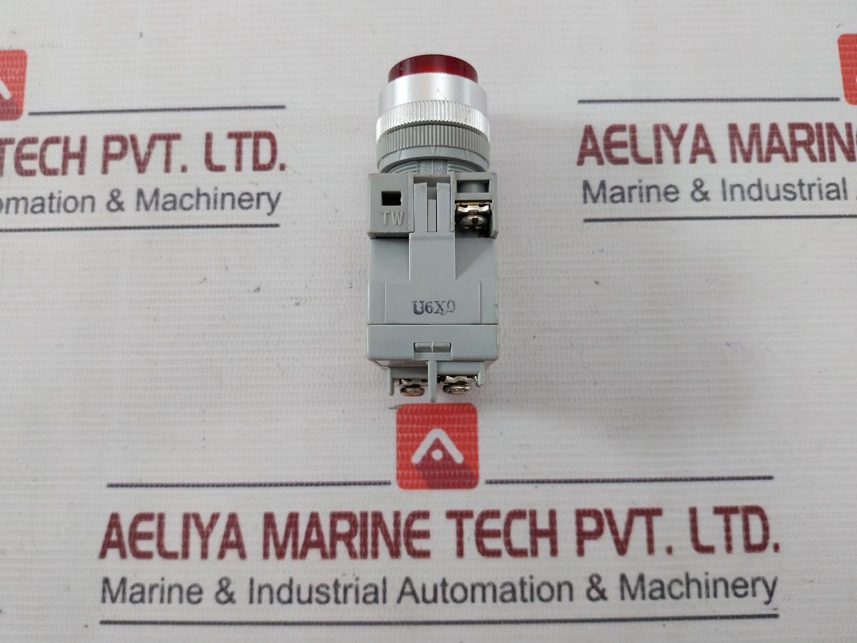 Izumi Apw Pushbutton Switch Control Unit 230V 50.60Hz 6.3V 1W