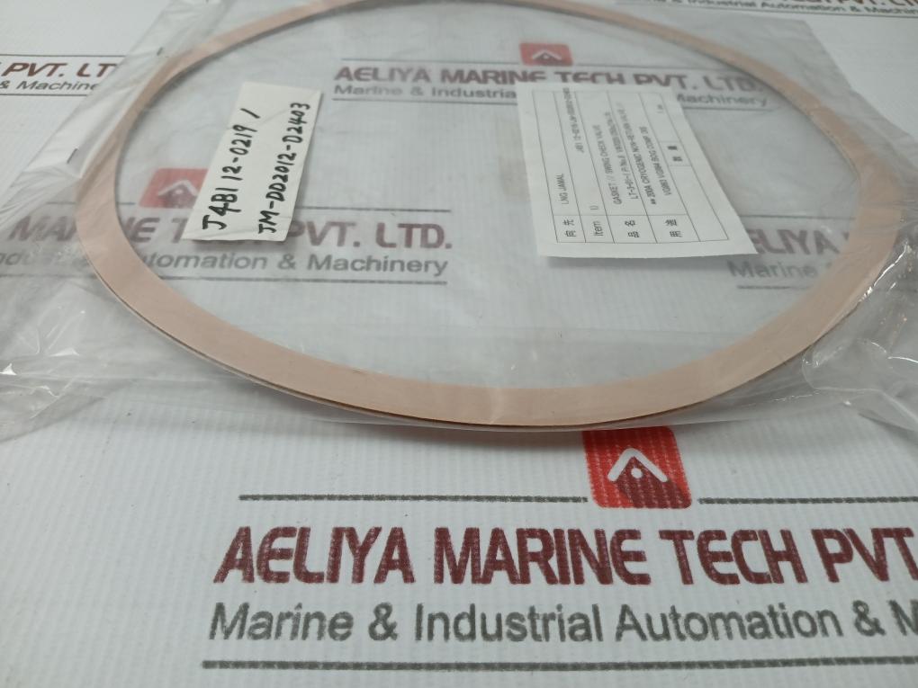 J4B1 12-0219/Jm-dd2012-d2403 Gasket For Swing Check Valve