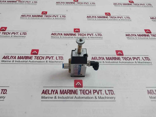 Janatics Ds255Sr61 5/2 Way Pneumatic Directional Control Valve 2-10 Bar
