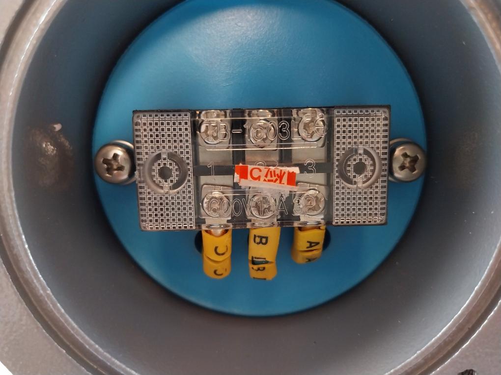 Jiangsu Yuanwang Instrument Uqk-01-c Float Level Controller Ip66 Ac230V 1.5A