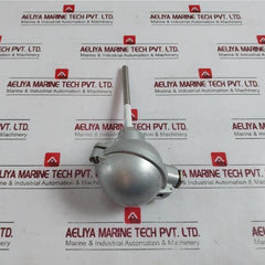Jumo 1Xpt100 2L Resistance Thermometer 125-mm P1164302038