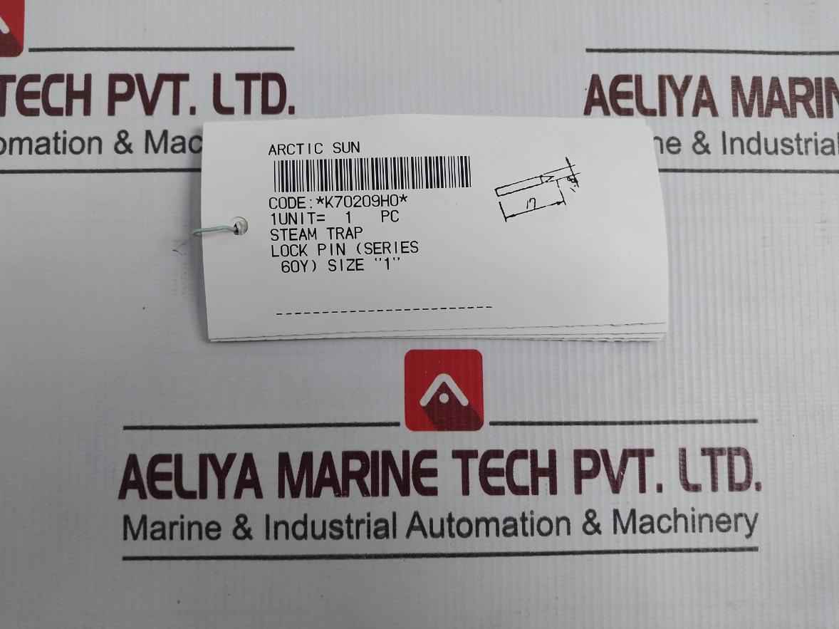 K70209h0 Lock Pin Set For Steam Trap 60y Size 1