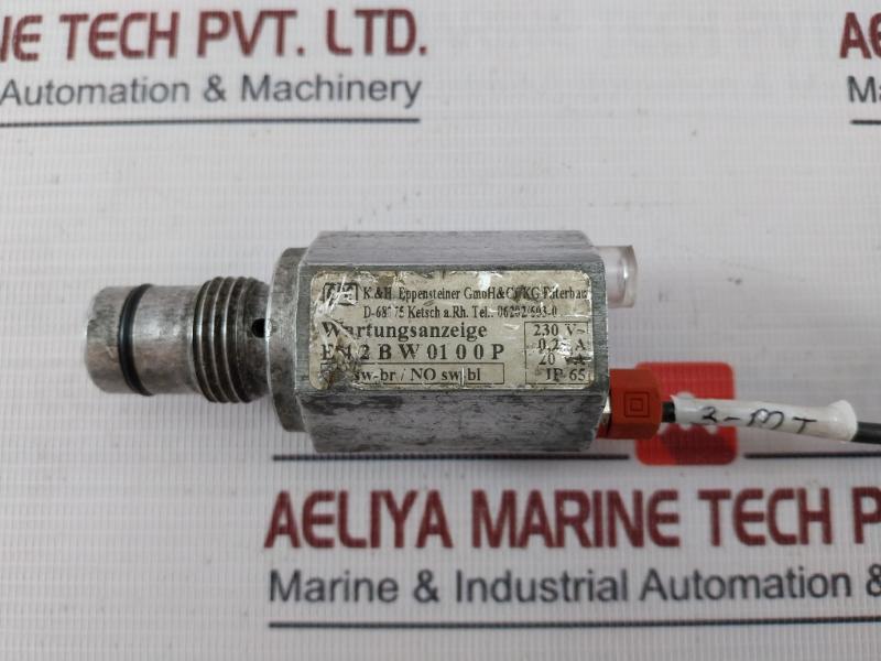 K&H Eppensteiner E4,2Bw0100P Maintenance Indicator 230V~ Ac 0.25A 20Va