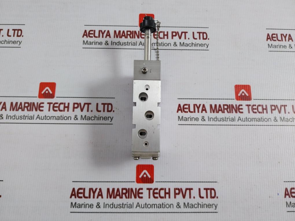 Kaneko Solenoid Pneumatic Valve P1602C0483