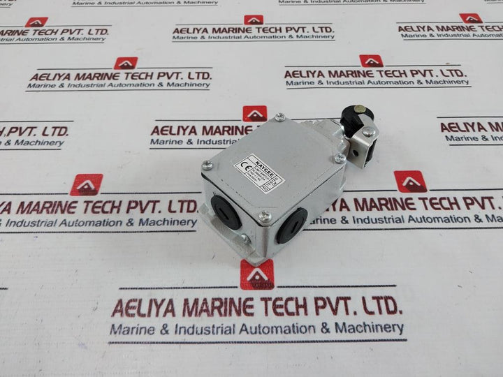 Kaycee Kls006X-oa Limit Switch 10A