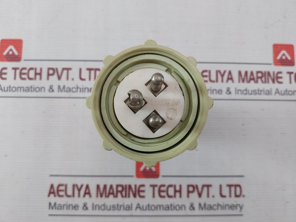 Wiska 1142/Fs Hna Marine Plug 250V 16A Ip56