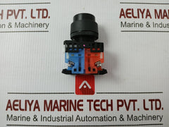 Key Selector Switch Ar22Jr-2A11A Fuji Electric 250V 6A