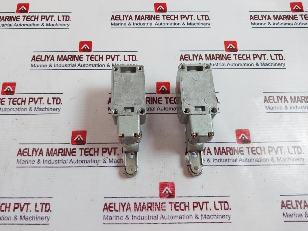 KG Auto KG-L001 Limit Switch Normal Variable Roller Lever