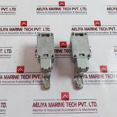 KG Auto KG-L001 Limit Switch Normal Variable Roller Lever