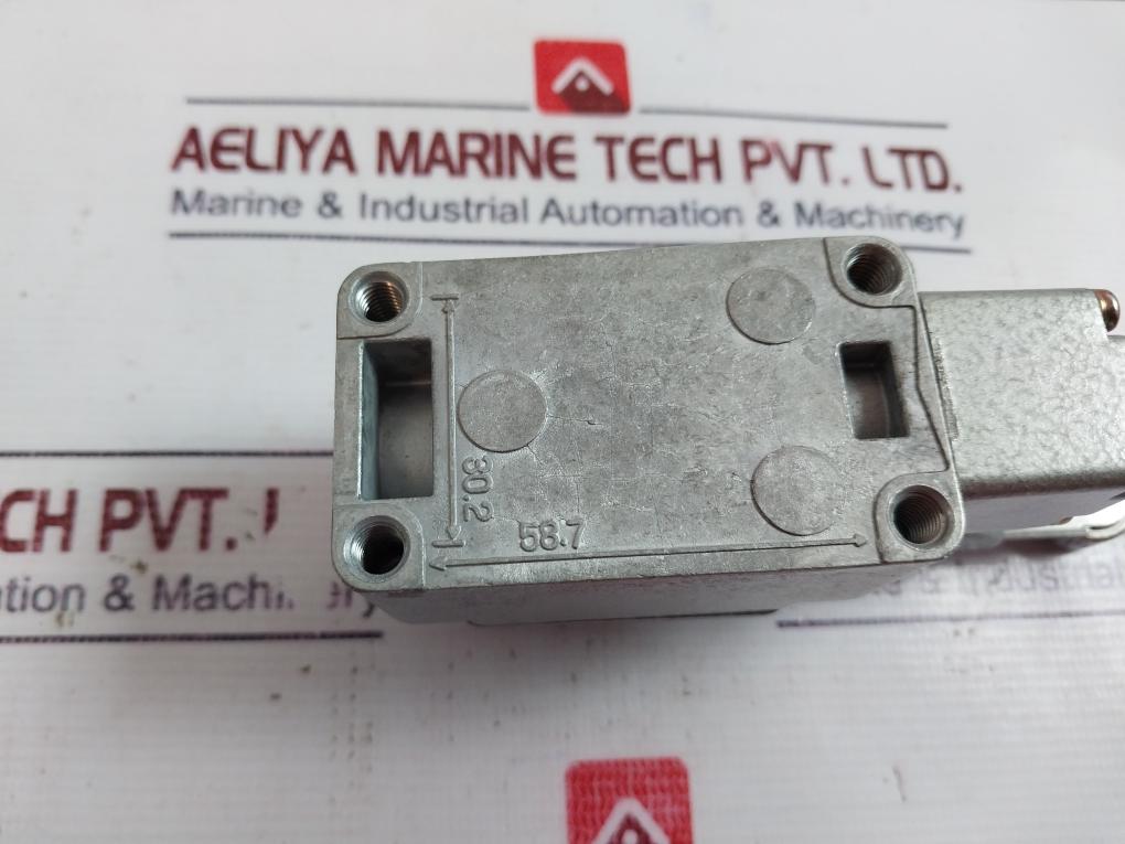 KG Auto KG-L001 Limit Switch Normal Variable Roller Lever