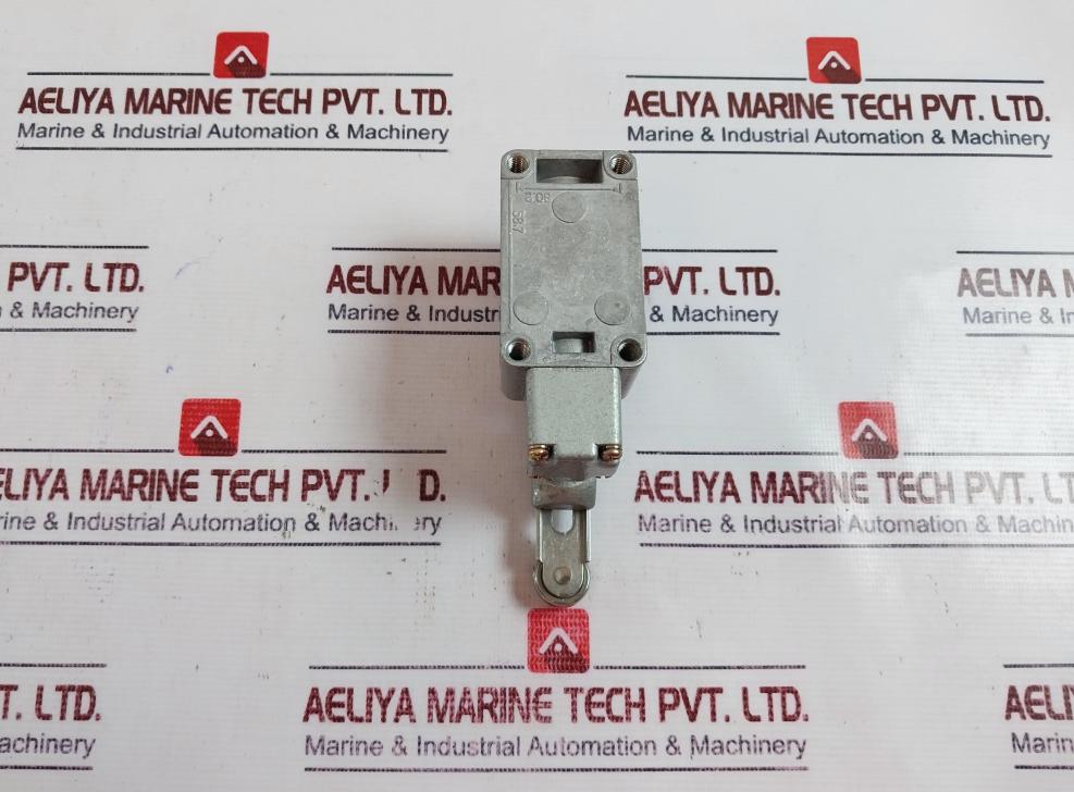 KG Auto KG-L001 Limit Switch Normal Variable Roller Lever
