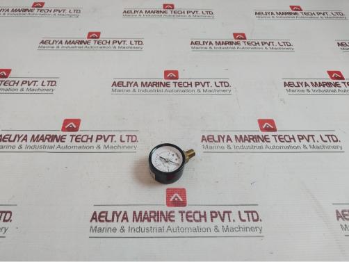Kins 46.253.01.0.00 Pressure Gauge 0-0.2 Mpa 0-2 Bar 069640