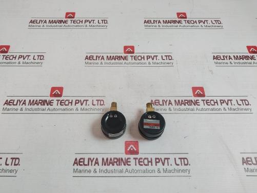 Kins 46.253.01.0.00 Pressure Gauge 0-0.2 Mpa 0-2 Bar 069640