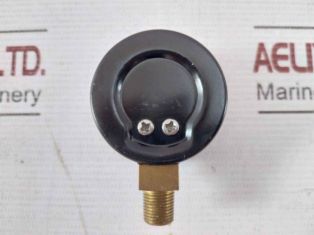 Kins Pressure Gauge 0-0.2 Mpa 0-2 Bar Cl 3.0