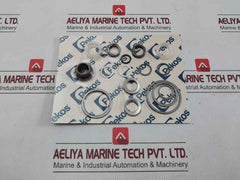 Kkg Joint Kit For Cryogenic Nitrogen Valve Pekos Nd 1/2