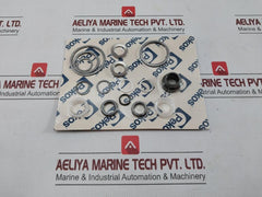 Kkg Joint Kit For Cryogenic Nitrogen Valve Pekos Nd 1/2