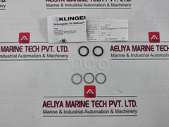 Klinger Pn 63 Sealing Kit For Ball Valve R00340 Dn 32/35