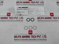 Klinger Pn 63 Sealing Kit For Ball Valve R00340 Dn 32/35