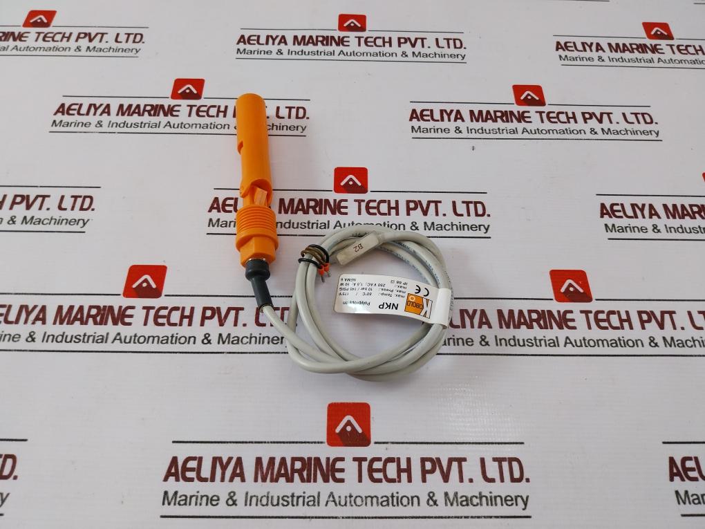 Kobold Nkp Plastic Level Switch Max.Temp.:80˚C/175˚F Max.Press.:10 Bar/145 Psig