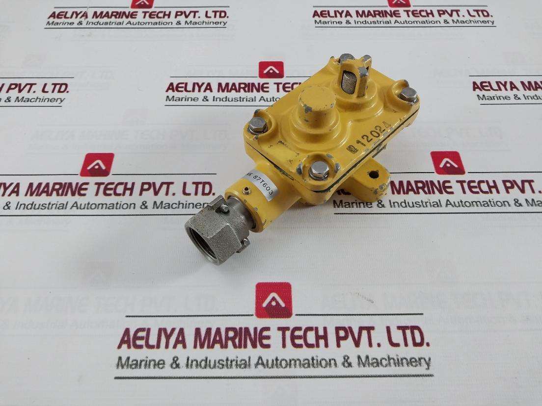 Komyo Rikagaku Kogyo Rd-c Detector Head D2G4 Nk87T603