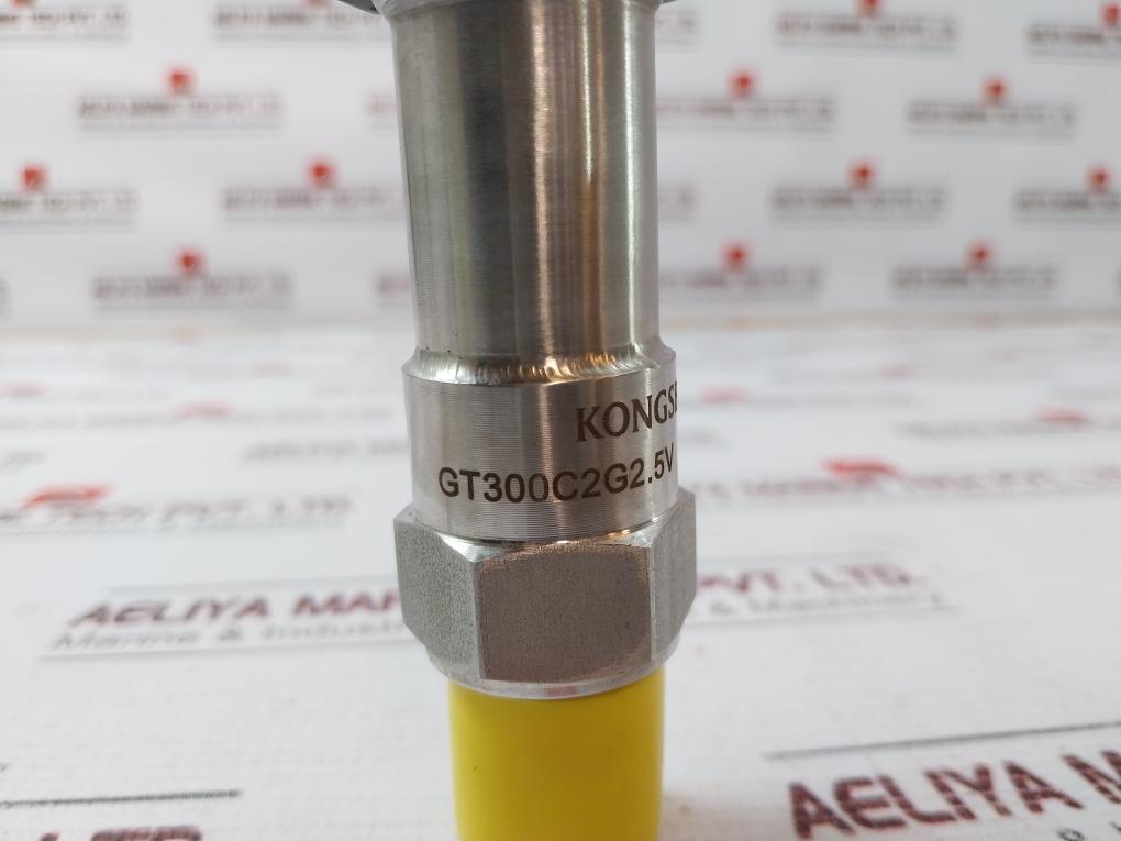 Kongsberg Gt300C2G2.5V Pressure Transmitter