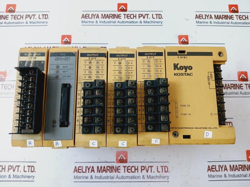Koyo E-01bj Output Module Ac200v, 100v, Dc24v Input