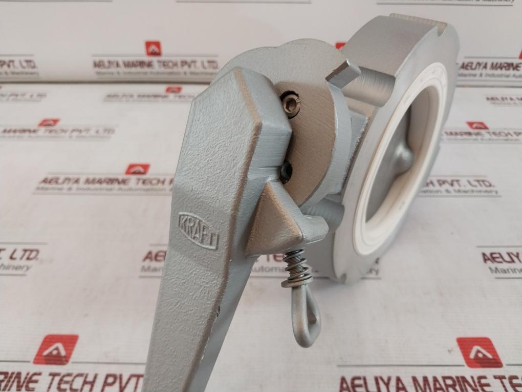 Kraft En-ac 46200 Butterfly Valve 2211027 Jsw 14 Dn100 M01