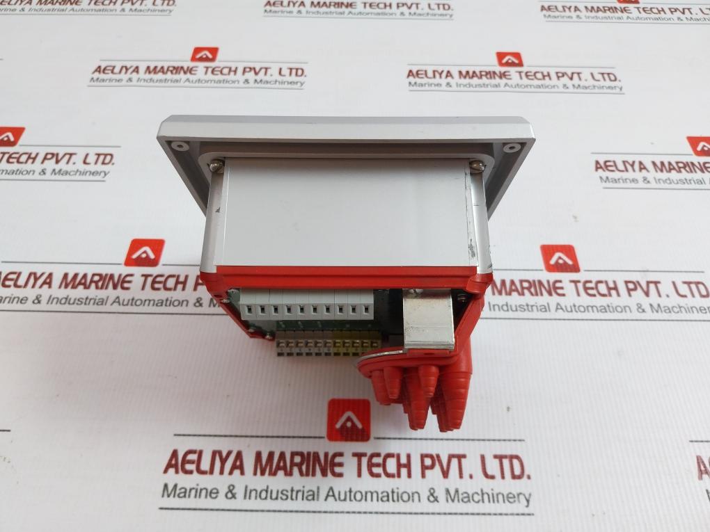 Kral Display Processing Unit 24Vdc 4-20Ma Bem 300