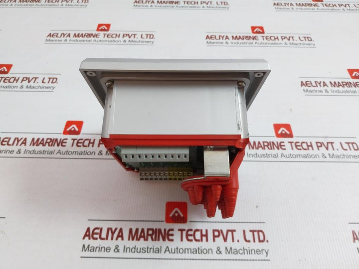Kral Display Processing Unit 24Vdc 4-20Ma Bem 300