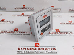 Kral Display Processing Unit 24Vdc 4-20Ma Bem 300