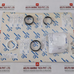 Ksb 42099987 Shaft Sealing Kit Danais O-ring 62,87 X 5,33