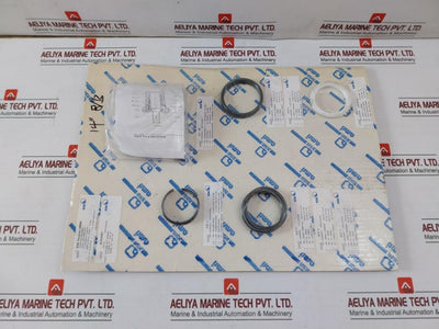 Ksb 42099987 Shaft Sealing Kit Danais O-ring 62,87 X 5,33.