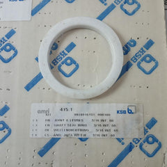 Ksb 42099991 Shaft Sealing Kit Flange 18" Bwse 18" 3/16 Int.60 16/18In