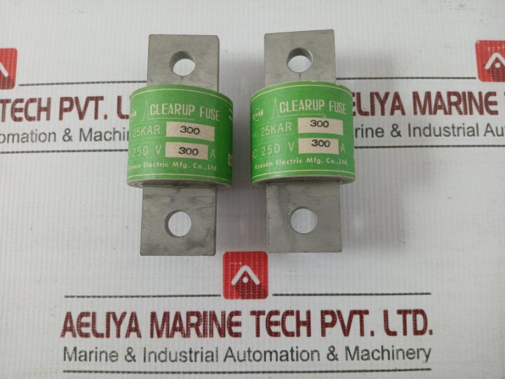 Kyosan-Electric-Clearup-Fuse-Ac-250v-25kar-300-2