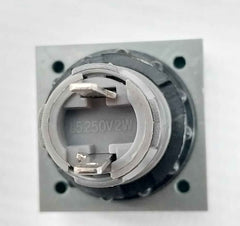 L5. 250V 2W Pushbutton Switch