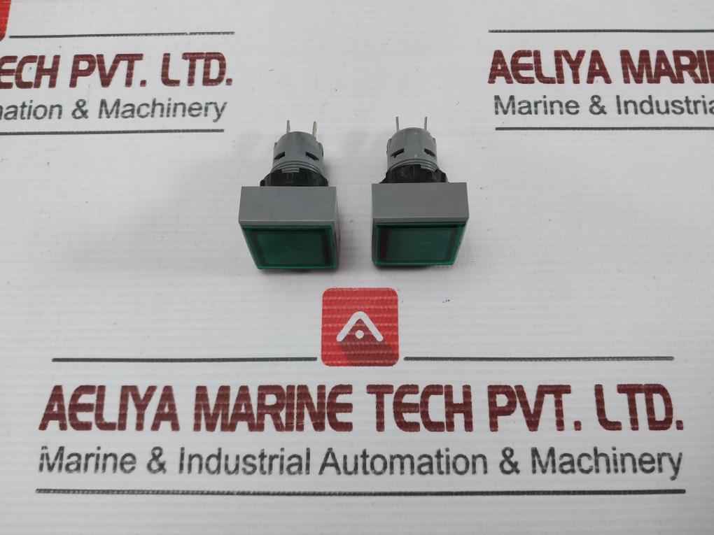 L5. 250V 2W Pushbutton Switch