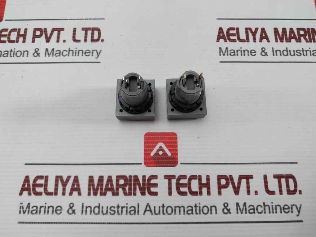 L5. 250V 2W Pushbutton Switch