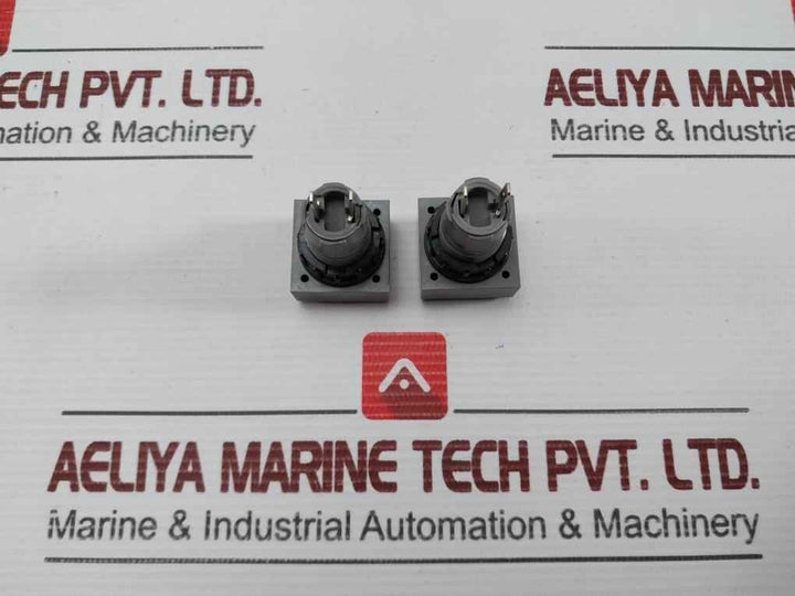 L5. 250V 2W Pushbutton Switch
