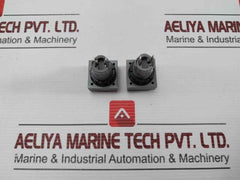 L5. 250V 2W Pushbutton Switch