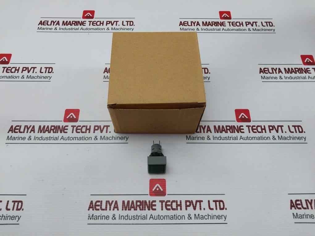 L5. 250V 2W Pushbutton Switch