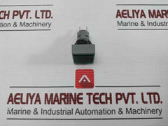L5. 250V 2W Pushbutton Switch