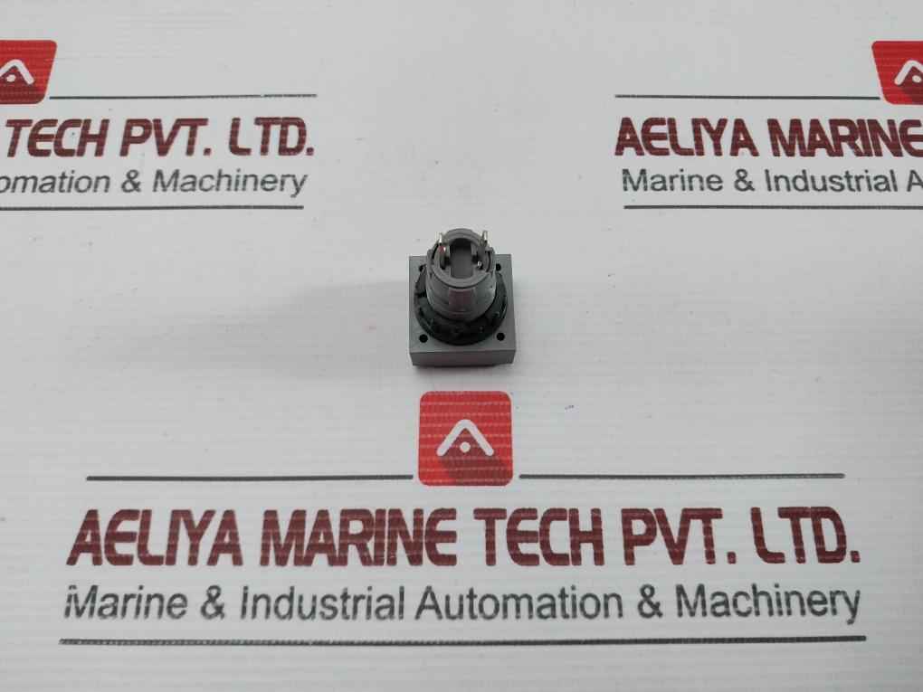 L5. 250V 2W Pushbutton Switch