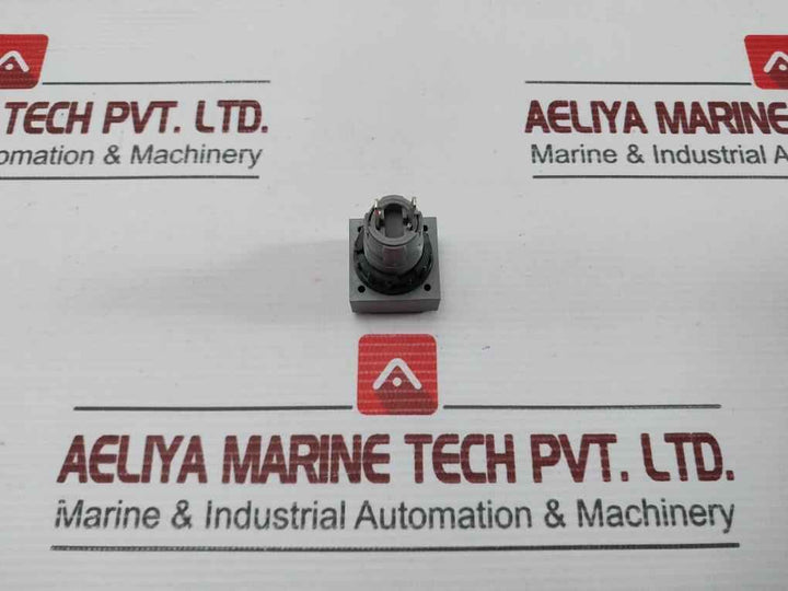 L5. 250V 2W Pushbutton Switch