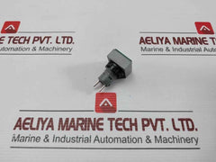 L5. 250V 2W Pushbutton Switch
