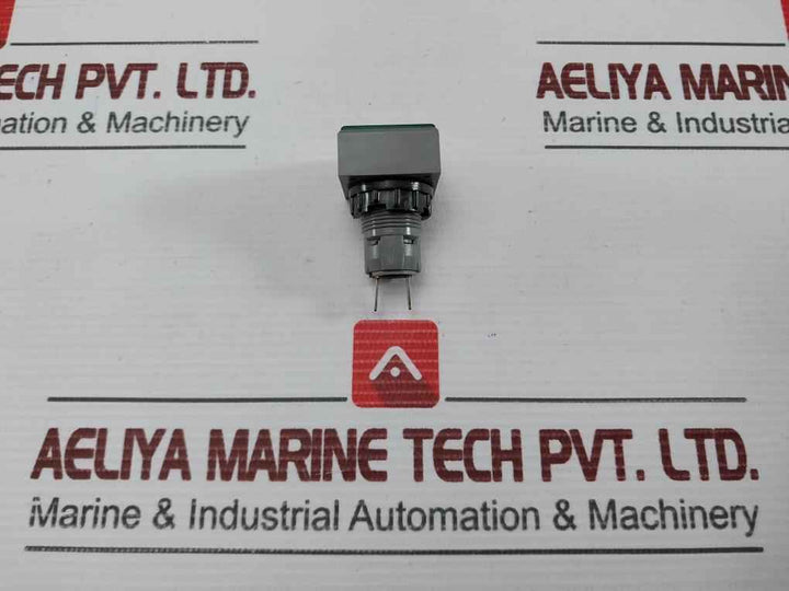 L5. 250V 2W Pushbutton Switch